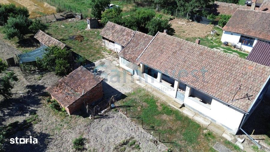Casă cu 3 camere cu Teren 4192 Mp în Gepiu