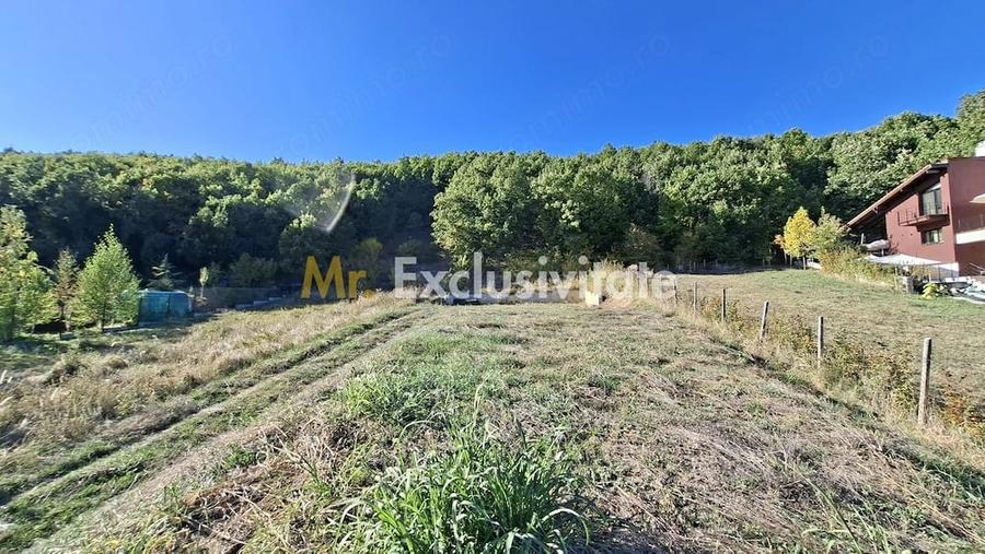 Teren de 2090 mp, în Golești (Ștefănești)