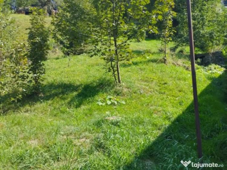 Casă cu 11 camere cu Teren 1560 Mp în Moieciu