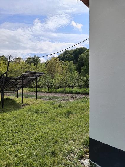 Casă cu 3 camere cu Teren 1500 Mp în Capu Piscului (Godeni)