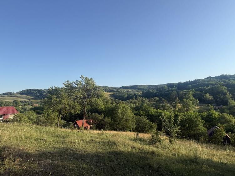 Teren de 7300 mp, în Șardu