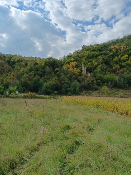 Teren de 2800 mp, în Central