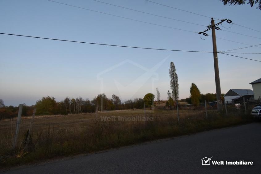 Teren Construcții intravilan de 2540 mp, în Dângău Mare