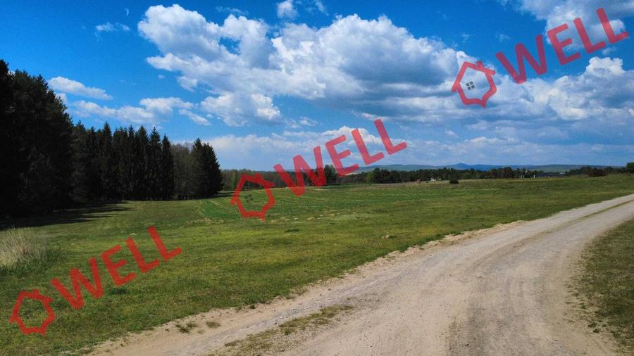 Teren agricol extravilan de 2900 mp, în Reci