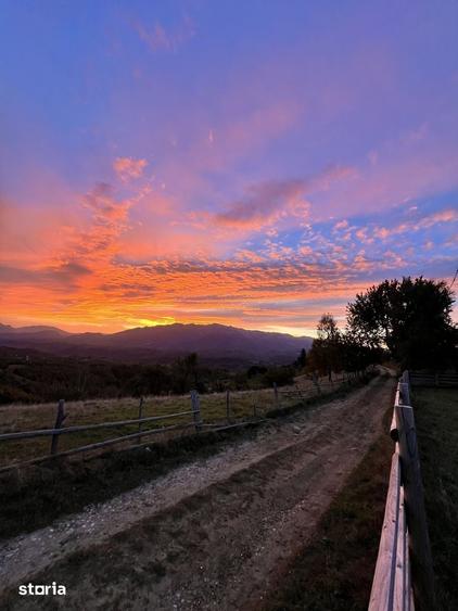 Teren intravilan 18066 mp si extravilan 4566 mp in Pestera com Moieciu - 8