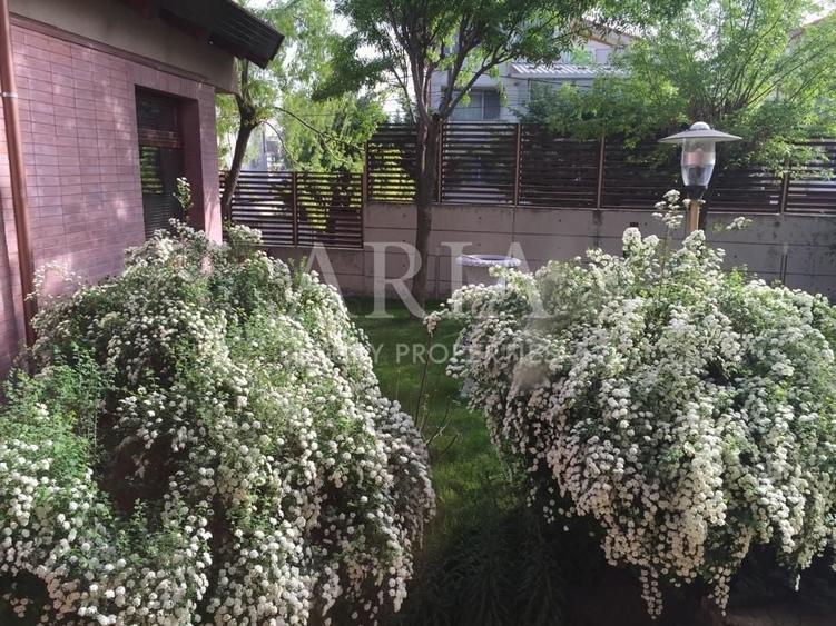 Casă individuală cu 6 camere cu Piscina în Pipera