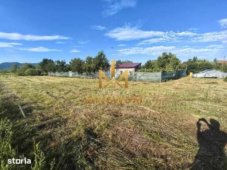 Teren de 600 mp, în Tăuții-Măgherăuș