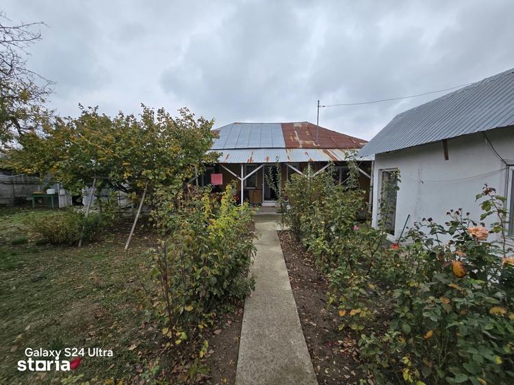Casă cu 5 camere cu Teren 3000 Mp în Trivalea-Moșteni