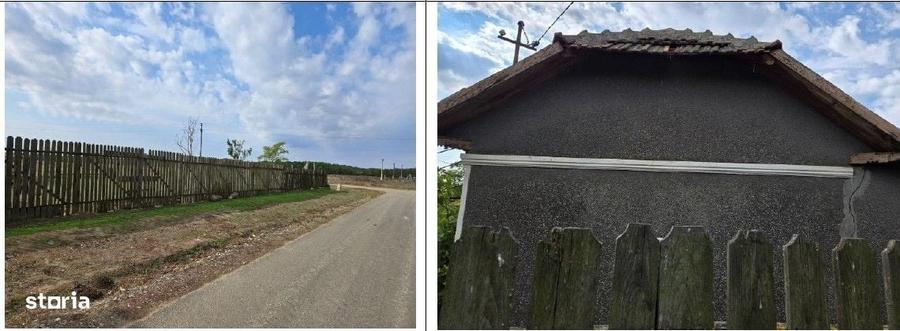 Casă cu 3 camere în Viișoara
