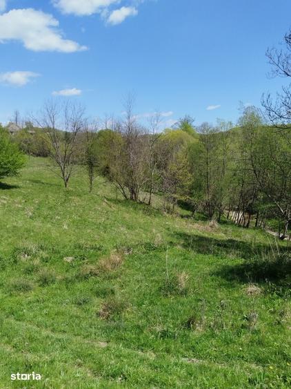 Teren de 7795 mp, în Golești