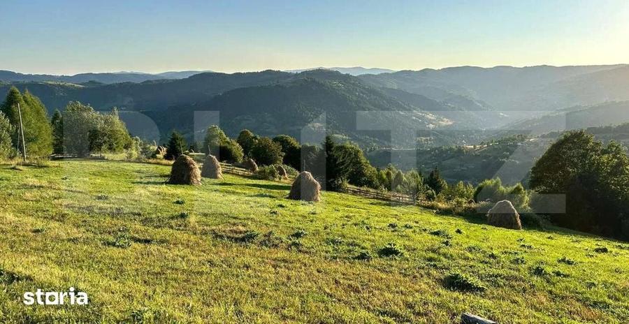 Teren de 17278 mp, în Horea