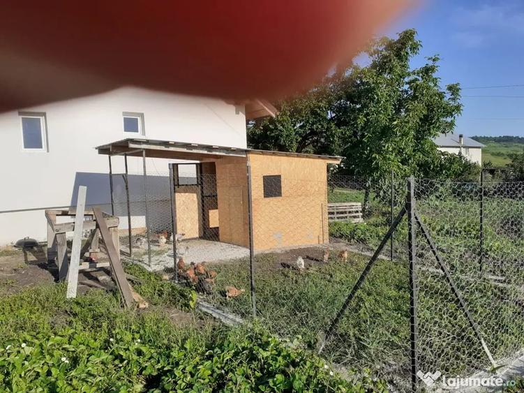 Casă cu 3 camere în Central