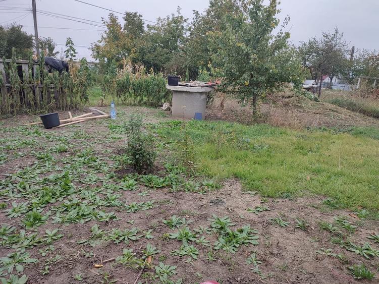 Teren Construcții intravilan de 1900 mp, în Stăuceni