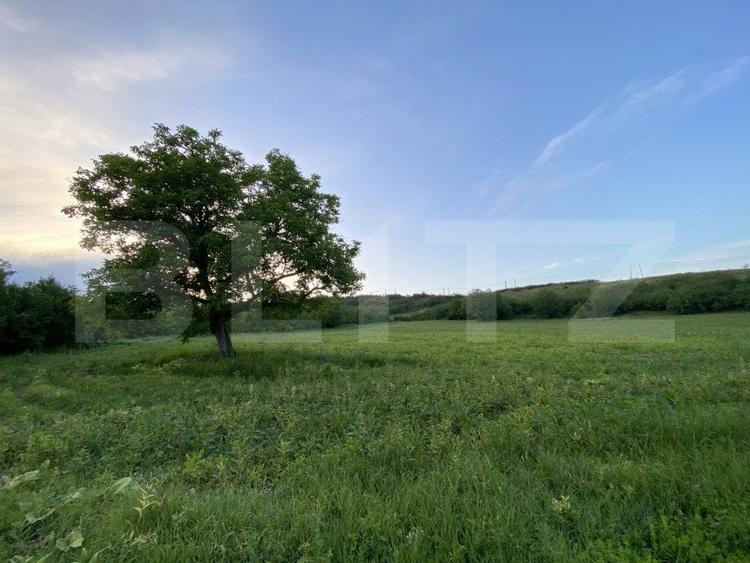 Teren Construcții intravilan de 21450 mp, în Vest