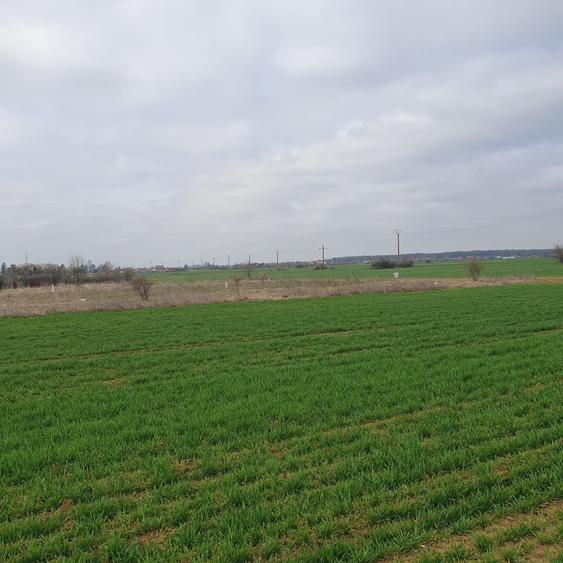 Teren agricol intravilan de 4500 mp, în Tâncăbești