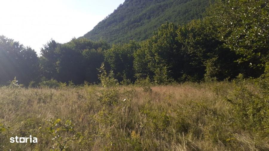 Teren de 700 mp, în Dobra