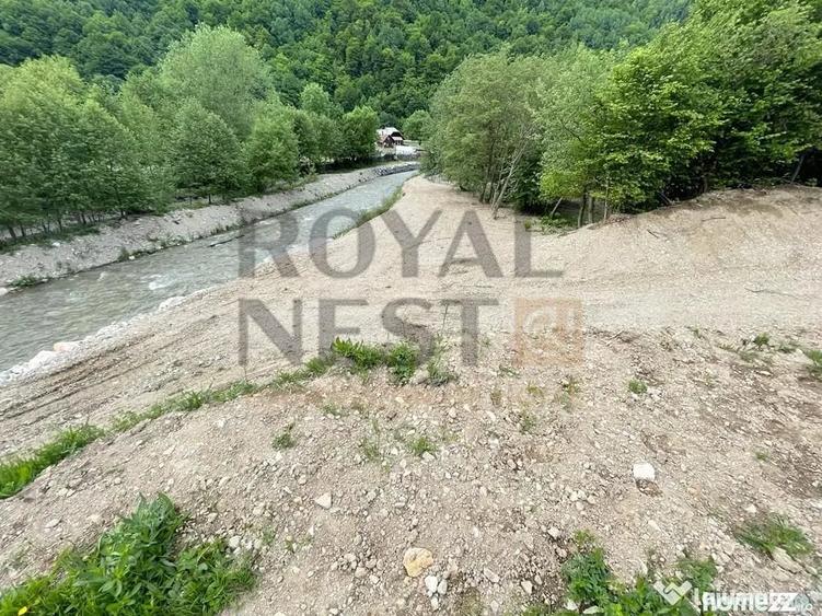 Teren de 12150 mp, în Plaiul Foii