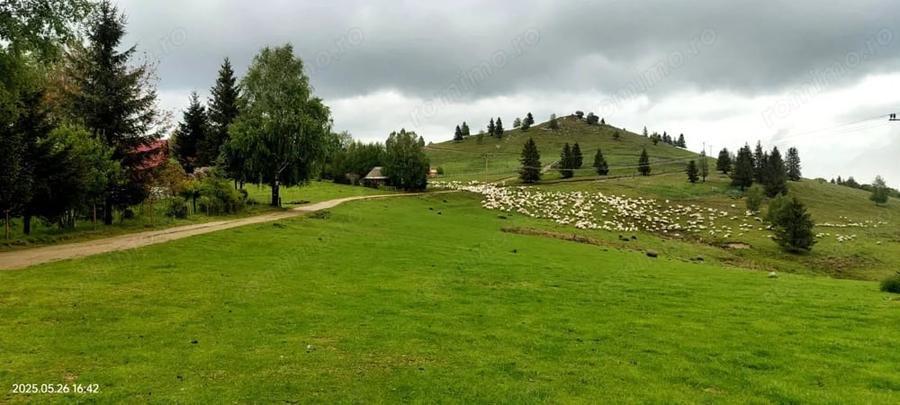 Teren de 1113 mp, în Paltin