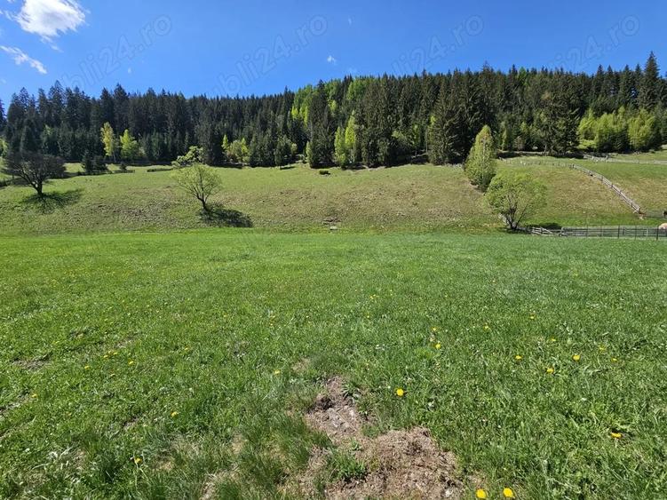 Teren de 5350 mp, în Pojorâta