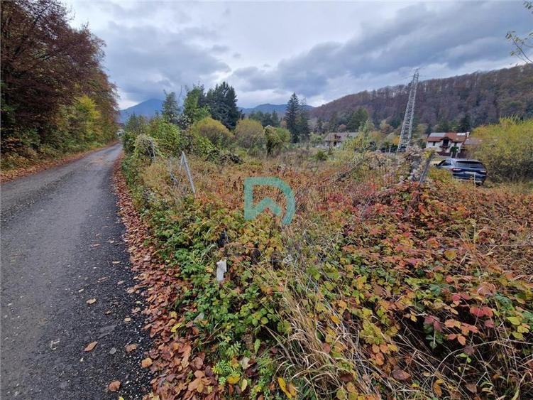 Teren intravilan de 500 mp, în Baciu