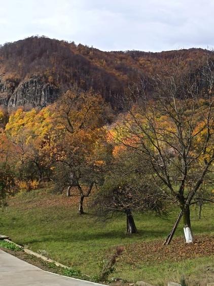 Casă individuală cu 2 camere cu Teren 4000 Mp în Cavnic