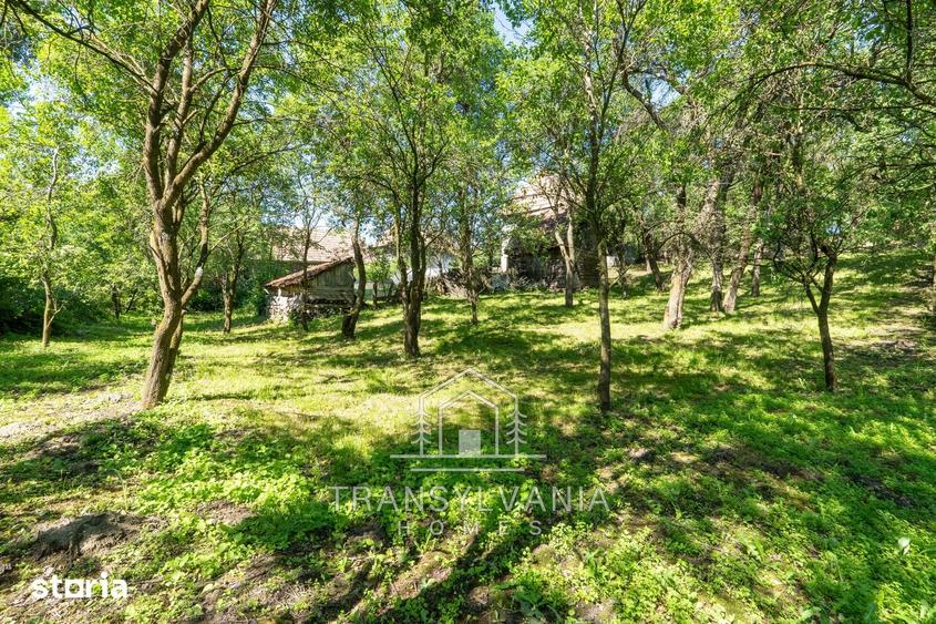 Casă cu 2 camere cu Teren 1368 Mp în Petrești