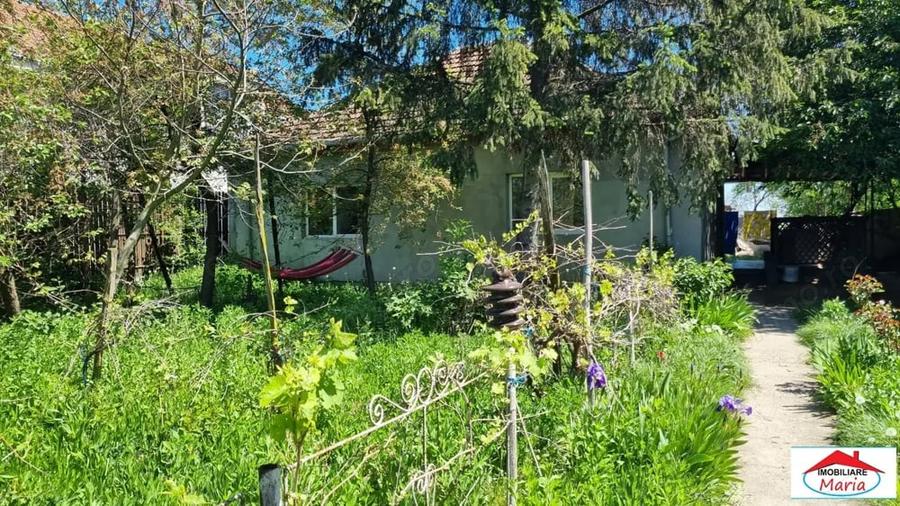 Casă cu Teren 1500 Mp în Lucian Blaga