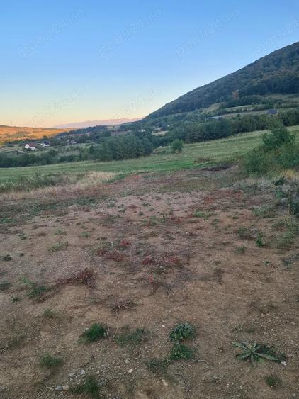 Teren de 1800 mp, în Poplaca