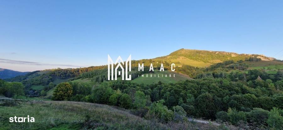 Spațiu comercial, în Râmeț