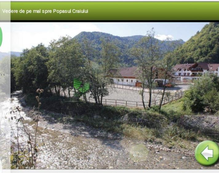 Teren de 12150 mp, în Plaiul Foii