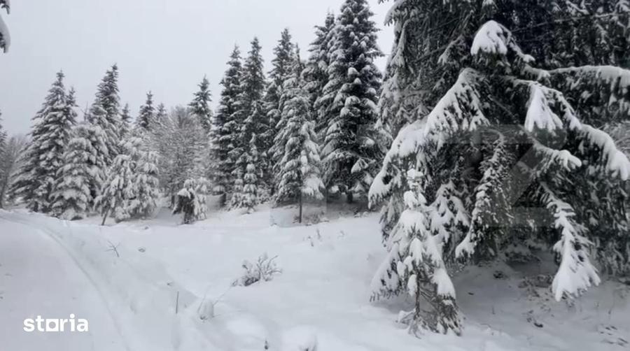 Teren 10,75 ari, intravilan Colibita, cu utilitati - 2