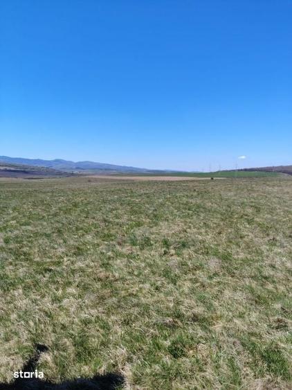 Teren de 10000 mp, în Ciurila