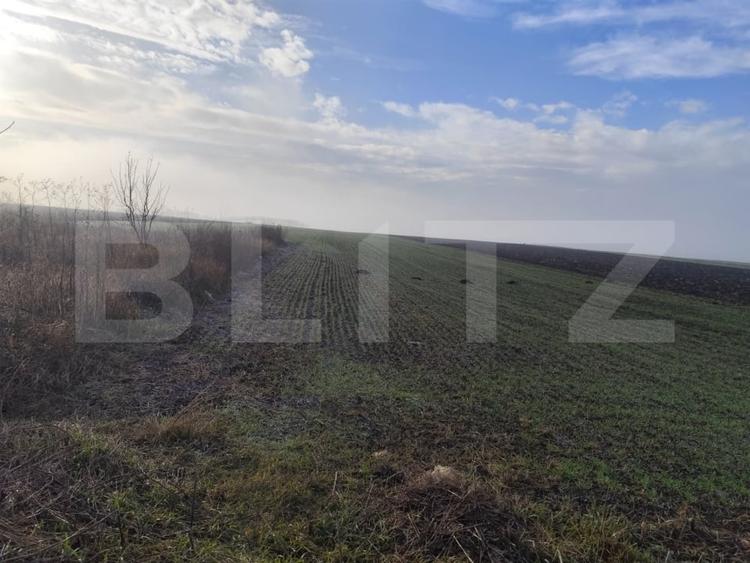 Teren Construcții extravilan de 15000 mp, în Miroslava