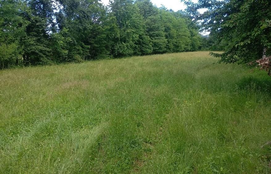 Teren Construcții intravilan de 1773 mp, în Urleta