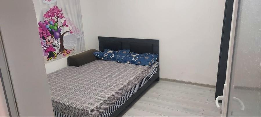 Casă cu 2 camere în Radomirești