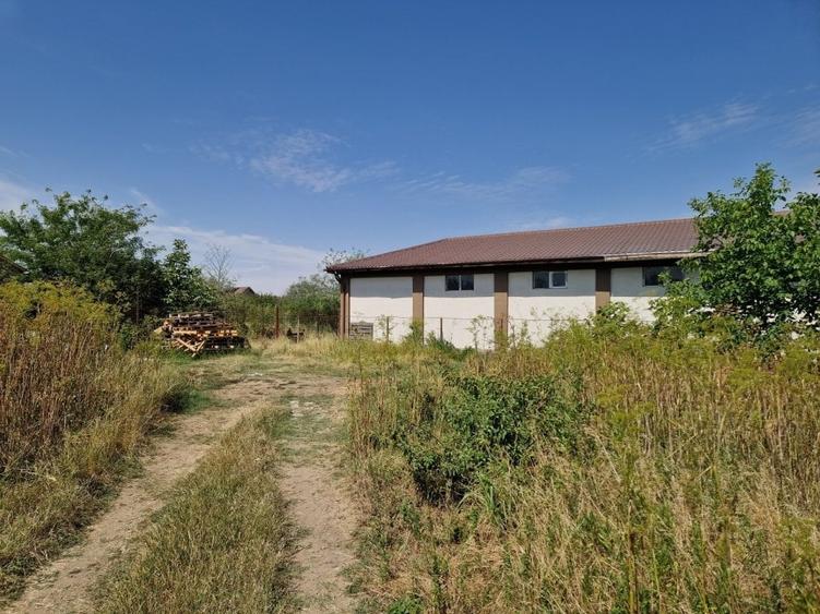 Teren Construcții intravilan de 598 mp, în Domnești