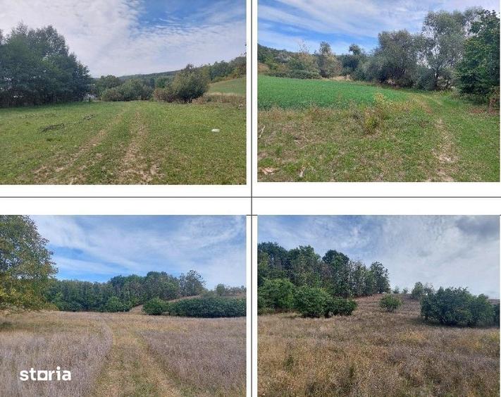 Teren de 2000 mp, în Izvoru Berheciului