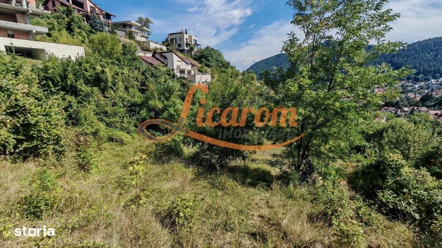 Spațiu comercial, în Drumul Poienii