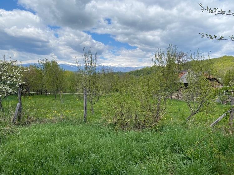 Teren intravilan de 986 mp, în Sud-Vest