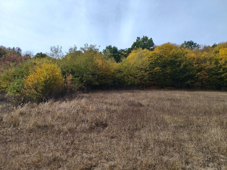 Teren agricol extravilan de 7043 mp, în Mihăești