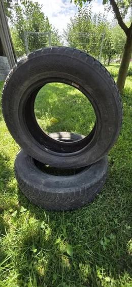 Teren de 4600 mp, în Sănduleni