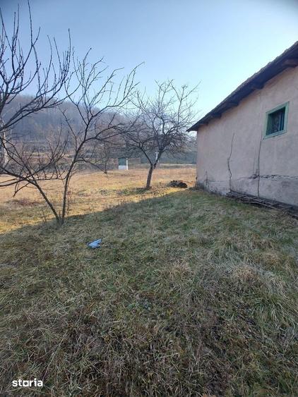 Casă cu 3 camere cu Teren 3081 Mp în Băița