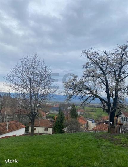 Teren de 4669 mp, în Girișu de Criș