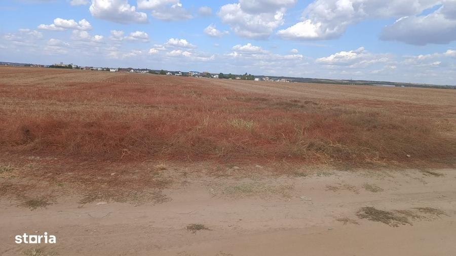 Teren intravilan, 7000 mp, zona Preajba noua-Damila - 1