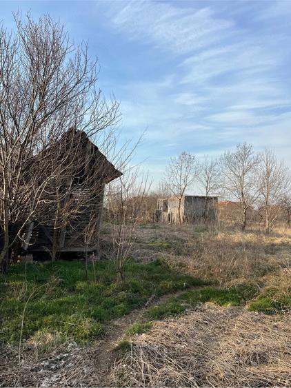 Teren de 4316 mp, în Ferendia