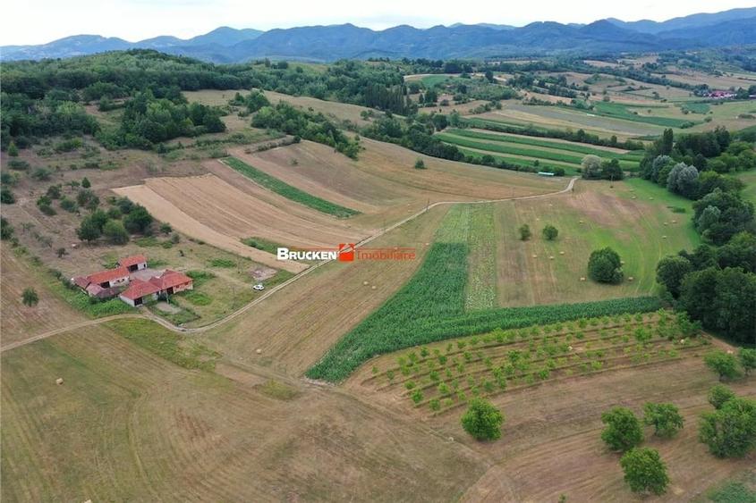 Teren de 60000 mp, în Beiușele