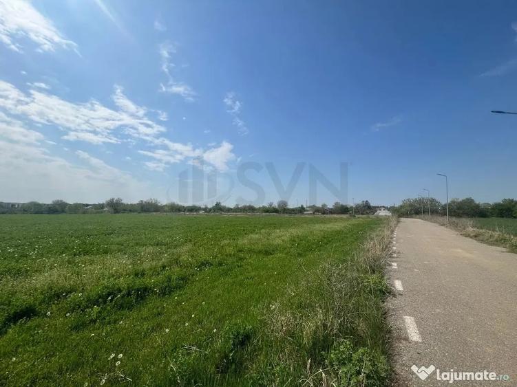 Teren de 15000 mp, în Snagov