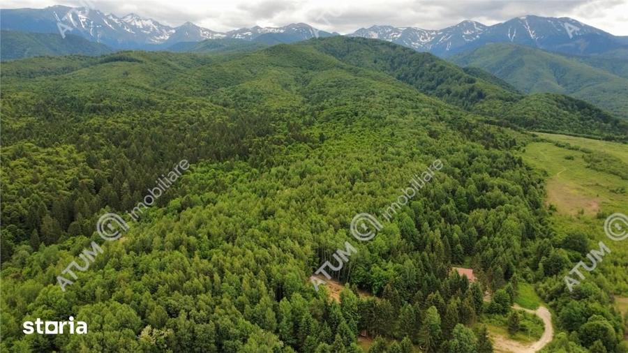 Teren de 2150 mp, în Porumbacu de Sus