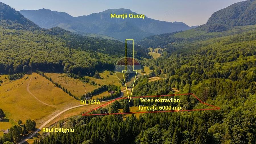 Teren de 6000 mp, în Dălghiu