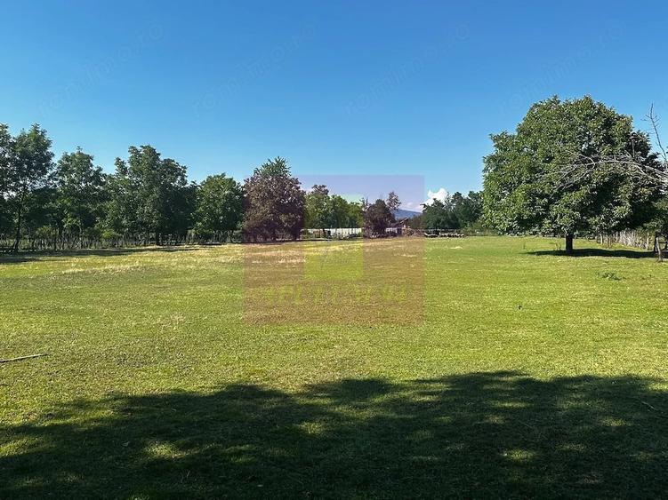 Teren de 10072 mp, în Voila